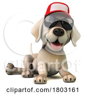 Yellow Labrador Puppy Dog 3d Wearing A Hat And Sunglasses On A White Background