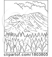 Poster, Art Print Of Mount St Helens National Volcanic Monument In Washington State Mono Line Art