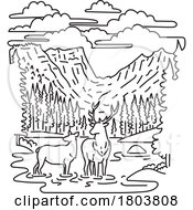 Poster, Art Print Of Elk Or Wapiti In Rocky Mountain National Park Northern Colorado Mono Line Art