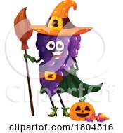 Grapes Witch Food Mascot by Vector Tradition SM