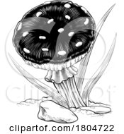 10/03/2023 - Mushroom Toadstool Fungus Vintage Engraved Woodcut