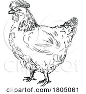 Poster, Art Print Of Sussex Chicken Or Hen Side View Drawing