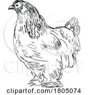 Poster, Art Print Of Brahma Chicken Or Hen Side View Drawing