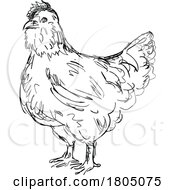Poster, Art Print Of Ameraucana Chicken Or Hen Side View Drawing