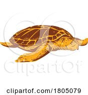 Loggerhead Sea Turtle Or Caretta Caretta Front View WPA Art