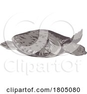 Poster, Art Print Of Pig Nosed Turtle Or Carettochelys Insculpta Side View Wpa Art