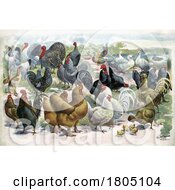 Poster, Art Print Of Varieties Of Poultry Near A Pond