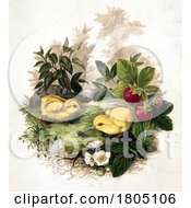 Poster, Art Print Of Two Chicks Eating Bugs Near Strawberries