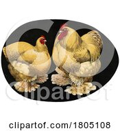 Poster, Art Print Of Buff Cochin Bantam Hen And Rooster Chickens