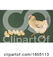 Poster, Art Print Of Hen Following Her Chicks