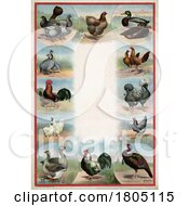 Poster, Art Print Of Border Of Various Poultry Bird