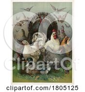 Poster, Art Print Of Different Types Of Fowl Birds