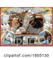Poster, Art Print Of Cattle Horse Races Chickens Sheep And Pigs