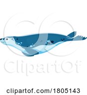 Swimming Seal by Vector Tradition SM
