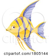 Yellow And Purple Angelfish