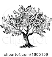 Poster, Art Print Of Olive Tree