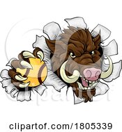 Poster, Art Print Of Boar Wild Hog Razorback Warthog Softball Mascot