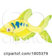 Poster, Art Print Of Tetra Fish