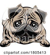 Poster, Art Print Of Adorable Pug Dog