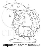 Poster, Art Print Of Cartoon Black And White Hedgehog In The Rain
