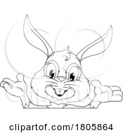 11/14/2023 - Easter Bunny Rabbit Cartoon Character Peeking Sign