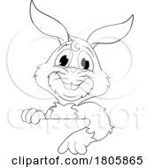 11/14/2023 - Easter Bunny Rabbit Cartoon Character Peeking Sign