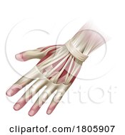 Poster, Art Print Of Hand Muscles Anatomy Medical Illustration