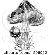 Poster, Art Print Of Mushrooms Toadstools Vintage Engraved Woodcut