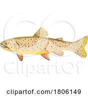 Poster, Art Print Of Apache Trout Or Arizona Trout Side View Wpa Art