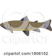 Bull Trout Or Salvelinus Confluentus Side View WPA Art