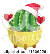 Potted Christmas Cactus Plant