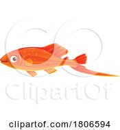 Poster, Art Print Of Swordtail Fish
