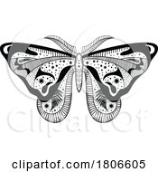 Black And White Mystic Celestial Moth