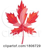 Red Autumn Maple Leaf