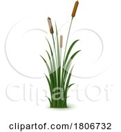 Cattails by Vector Tradition SM