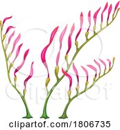Poster, Art Print Of Seaweed