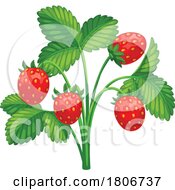 Poster, Art Print Of Strawberry Plant