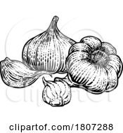 Garlic by AtStockIllustration