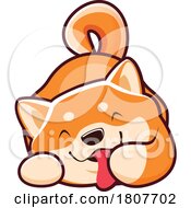 Shiba Inu Dog Licking Its Paw