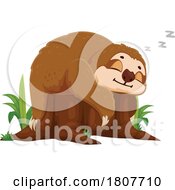 Sloth Sleeping On A Tree Stump