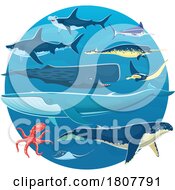 Poster, Art Print Of Rays Octopus Tuna Sharks Narwhal And Whales