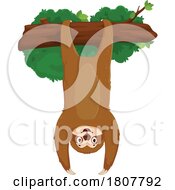 Sloth Hanging Upside Down by Vector Tradition SM