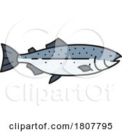 Salmon Or Trout Fish by Vector Tradition SM
