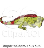 Iguana Lizard by Vector Tradition SM