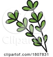 Poster, Art Print Of Sprigs Of Thyme