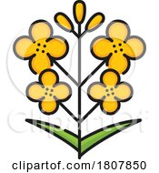 Poster, Art Print Of Rapeseed Canola Flowers