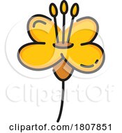 01/04/2024 - Rapeseed Canola Flower