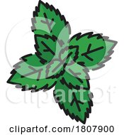 Poster, Art Print Of Fresh Mint Leaves