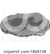 Fish Fossil Imprint Stone by Vector Tradition SM