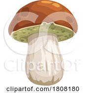 Poster, Art Print Of Porcini Cep Mushroom